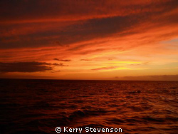 Night Diving - Waiting for dark.  Leeward Coast of O'ahu by Kerry Stevenson 